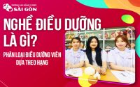 điều dưỡng cao đẳng là hạng mấy