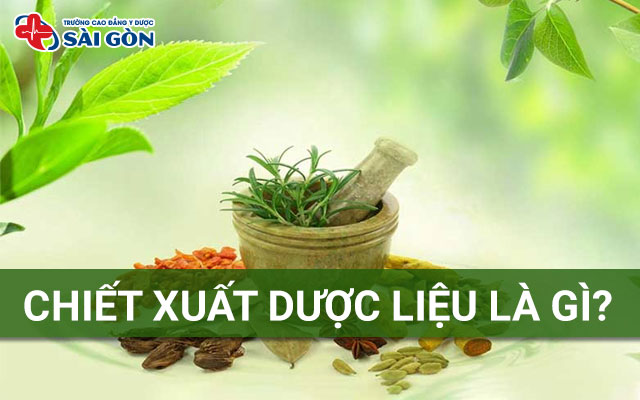 chiết xuất dược liệu