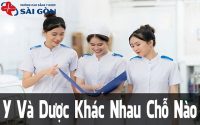 y và dược khác nhau chỗ nào