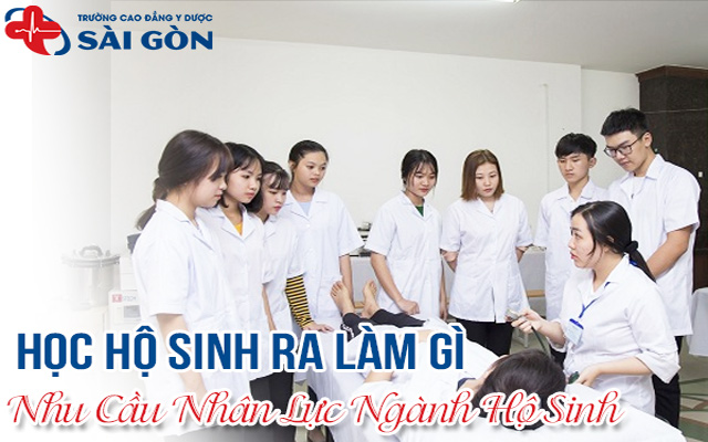 học hộ sinh ra làm gì