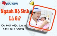 ngành hộ sinh là gì