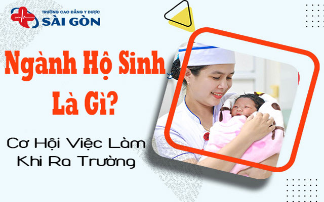 ngành hộ sinh là gì