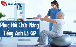 phục hồi chức năng tiếng anh là gì