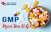 gmp ngành dược là gi