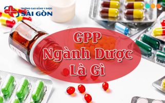 gpp trong ngành dược là gì