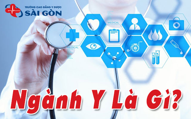 ngành y là gì