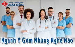 ngành y gồm những nghề nào