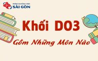 khối d03