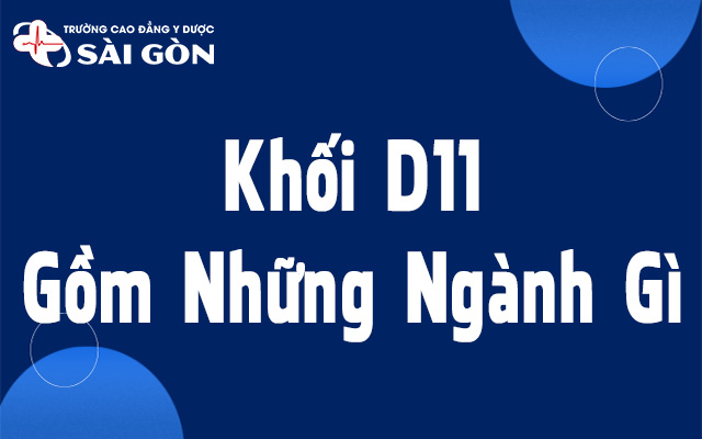 khối d11 gồm những ngành gì