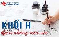 khối h