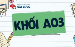 khối a03