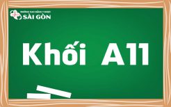 khối a11