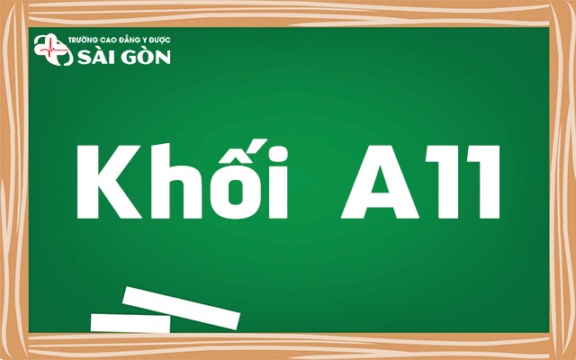 khối a11 gồm những môn nào