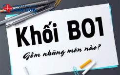 khối b01