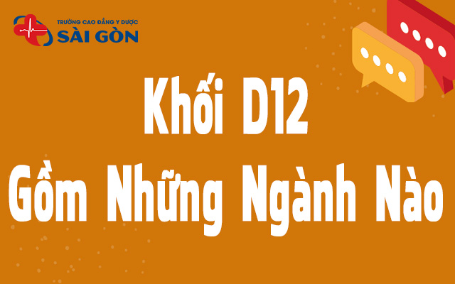 khối d12 gồm những ngành nào