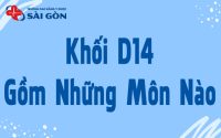 khối d14