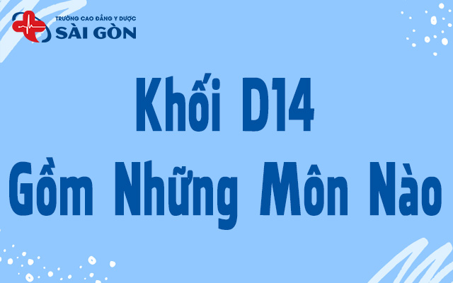 khối d14 gồm những môn nào