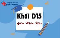 khối d15