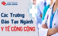 các trường đào tạo ngành y tế công cộng