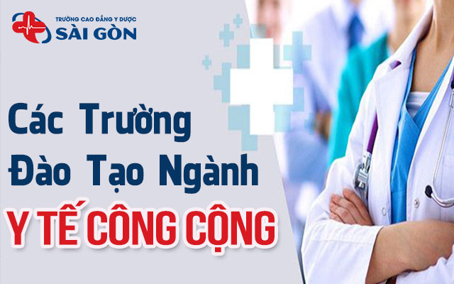 ngành y tế công cộng học trường nào