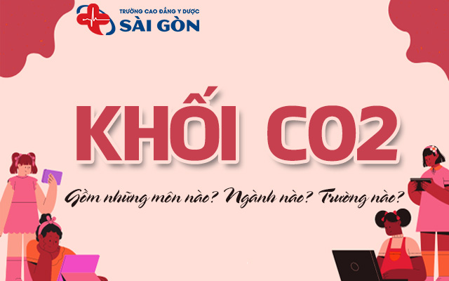 khối c02 gồm những môn nào