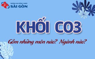 khối c03