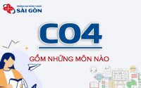 khối c04