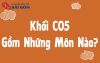 khối c05