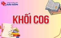 khối c06