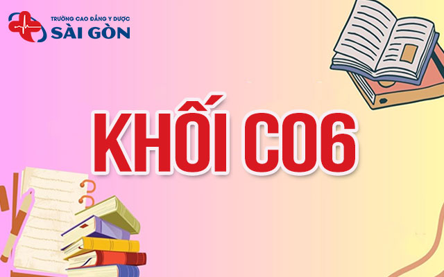 c06 gồm những môn nào