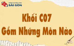 khối c07