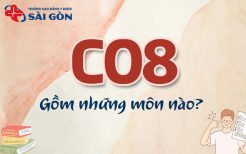 khối c08