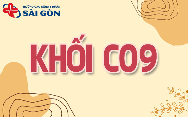 khối c09 gồm những môn nào