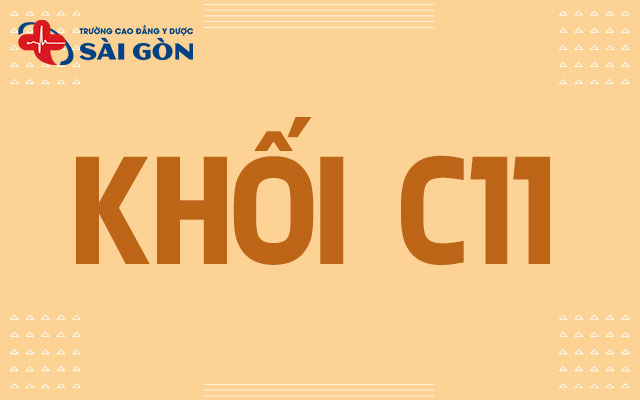 khối c11 gồm những môn nào