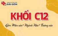 khối c12