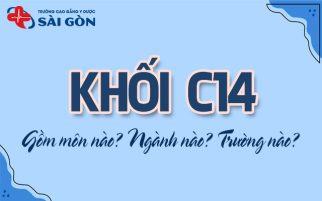 khối c14