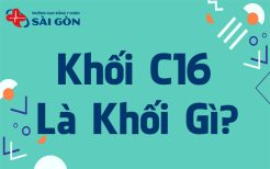 khối c16