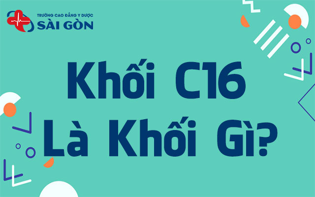 khối c16 gồm những môn nào