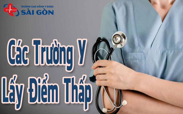 trường y nào lấy điểm thấp nhất