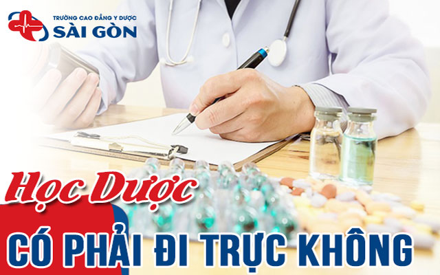 học dược có phải đi trực không