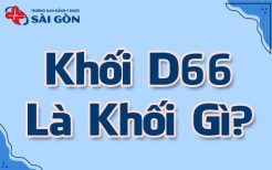 khối d66 là khối gì