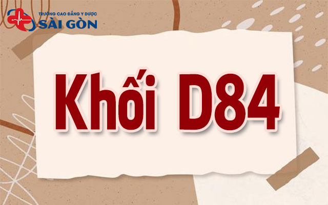 d84 gồm những môn nào