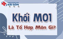 khối m01