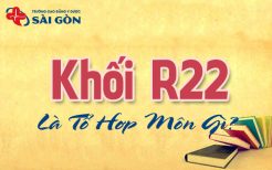 khối r22