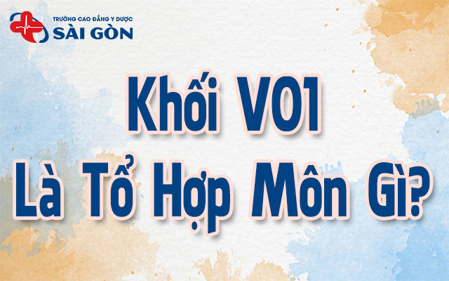 v01 là tổ hợp môn gì