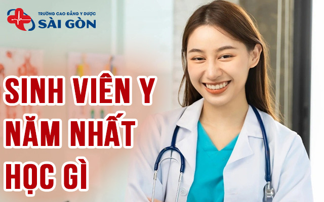 y năm nhất học gì