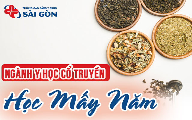 y học cổ truyền học mấy năm