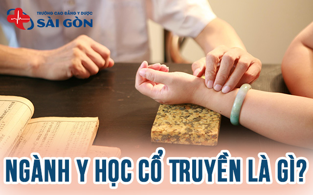 ngành y học cổ truyền là gì