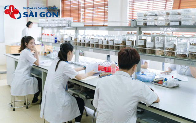 lựa chọn khối thi ngành y học cổ truyền sẽ giúp thí sinh chủ động hơn trong việc đăng ký xét tuyển