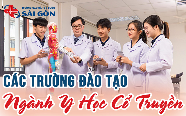 các trường có đào tạo ngành Y học cổ truyền